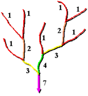 Shreve stream ordering method Shreve stream ordering method